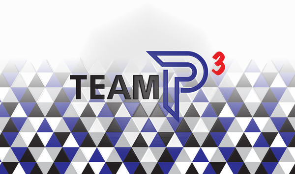 Team P3 2024